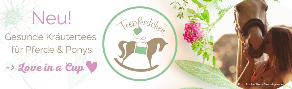 Gesunde Kräutertees für Pferde und Ponys